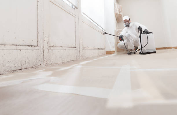 Black mold remediation team in Madisonburg